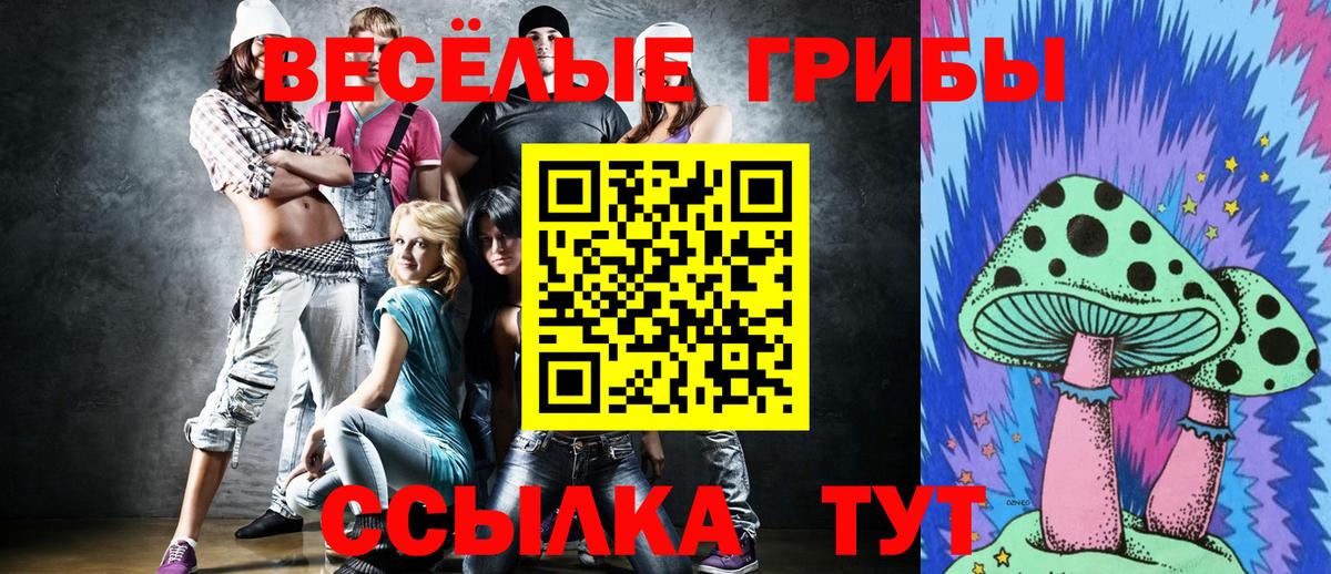 Галлюциногенные грибы Cubensis  Псилоцибиновые грибы Cubensis  Вход с VPN  закладка  Павлово 